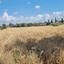 land for sale poli chrysochous paphos 1018691 thumbnail 1049845