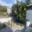 1 bedroom semi detached house for sale ypsonas limassol 1867791 thumbnail 6887964