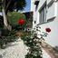 4 bedroom detached house for rent peyia paphos 8597791 thumbnail 16152459
