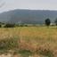 land off market pachna limassol 1032791 thumbnail 15603356