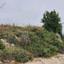 land off market pachna limassol 1032791 thumbnail 15603357