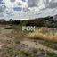 plot for sale konia paphos 7842791 thumbnail 10814989