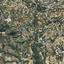 1505 SQM Land for sale in Agios Georgios Silikou, Limassol thumbnail 16063139