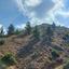 land for sale gourri nicosia 983891 thumbnail 9319060