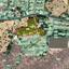 land for sale psevdas larnaca 1243891 thumbnail 3020137