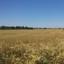 plot for sale latsia nicosia 1680891 thumbnail 10242892