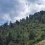 3679 SQM Land for sale in Agios Epifanios Oreinis, Nicosia thumbnail 7036448