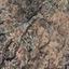 land for sale drynia paphos 8531991 thumbnail 16277458