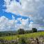 land for sale drynia paphos 8531991 thumbnail 16277463