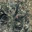 land for sale kallepeia paphos 8628991 thumbnail 15864693