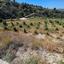 12710 SQM Land for sale in Psathi, Paphos thumbnail 15597538