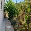 3 bedroom bungalow for sale meneou larnaca 9010002 thumbnail 18410366