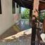 5 bedroom detached house for sale prodromos limassol 1189002 thumbnail 16803220