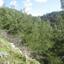 land for sale spilia nicosia 8404002 thumbnail 14882616