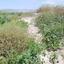 land for sale stroumbi paphos 1797002 thumbnail 5979506