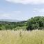 land for sale stroumbi paphos 1797002 thumbnail 5979513