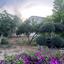 plot for sale zakaki limassol 1684002 thumbnail 10955263