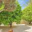 2 bedroom detached house for sale peyia paphos 8645102 thumbnail 15929273