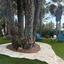 6 bedroom detached house for rent meneou larnaca 8640102 thumbnail 15914644
