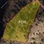 land for sale peyia paphos 1161102 thumbnail 10031785