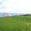 land for sale softades larnaca 8716102 thumbnail 16294046