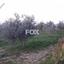 land for sale goudi paphos 1159202 thumbnail 5519300