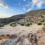 land for sale mathikoloni limassol 7625202 thumbnail 17008809