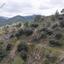 land for sale palaichori morfou nicosia 1838202 thumbnail 6536550