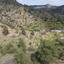 land for sale palaichori morfou nicosia 1838202 thumbnail 6536553