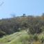 land for sale pigenia nicosia 8645202 thumbnail 15931481