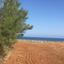 land for sale pomos paphos 828202 thumbnail 15178926