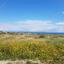 plot for sale kapparis famagusta 7543202 thumbnail 15068266