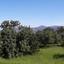 2800 SQM Land for sale in Pano Akourdalia, Paphos thumbnail 411504