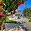 5 bedroom detached house for sale kouklia pafou paphos 8890302 thumbnail 17318449