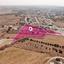 land for sale ormideia larnaca 1736302 thumbnail 14877147