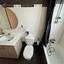 1 bedroom apartment for rent aglantzia nicosia 8931402 thumbnail 17612021