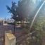 3 bedroom detached house for sale dekeleia larnaca 1822402 thumbnail 9812355