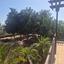 3 bedroom detached house for sale dekeleia larnaca 1822402 thumbnail 9812373