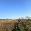land for sale ineia paphos 8395402 thumbnail 16563385