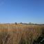 land for sale ineia paphos 8395402 thumbnail 16563386