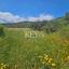 land for sale pano lefkara larnaca 8890402 thumbnail 17319639