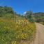 land for sale pano lefkara larnaca 8890402 thumbnail 17319643