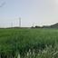 plot for sale pera orinis nicosia 1195402 thumbnail 5578082