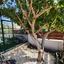 2 bedroom detached house for sale parekklisia limassol 8468502 thumbnail 16633454