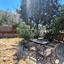 4 bedroom semi detached house for rent tseri nicosia 1495502 thumbnail 17452668