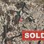 studio apartment sold peyia paphos 7980502 thumbnail 11661236