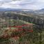 23413 SQM Plot for sale in Dora, Limassol thumbnail 15884770