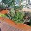 2 bedroom penthouse for rent strovolos nicosia 1305602 thumbnail 16183687