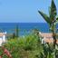3 bedroom detached house for sale latsi paphos 1455602 thumbnail 12369751