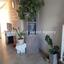 3 bedroom ground floor apartment for sale xylofagou larnaca 997602 thumbnail 952069